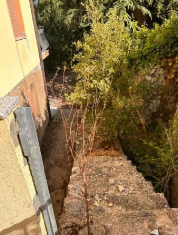 Immobile in asta di 131 m² con più di 5 locali in vendita a Tempio Pausania - Foto 4
