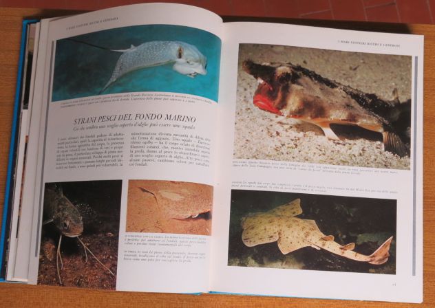 I SEGRETI DEL MARE - IL MONDO DEGLI OCEANI E DELLE ISOLE - - Foto 3