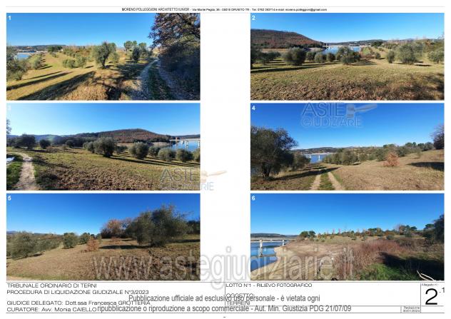 IMMOBILI-ALTRA CATEGORIA-Località Mortaro - Foto 2