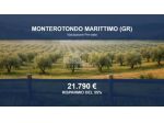 Immobile in asta di 72094 m² in vendita a Monterotondo Marittimo