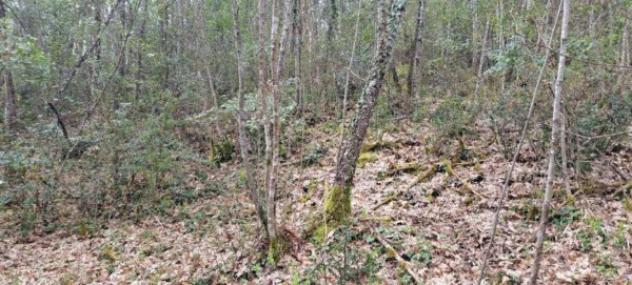 Immobile in asta di 165 m² in vendita a Monteriggioni - Foto 10