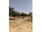 Terreno in vendita a Caltagirone