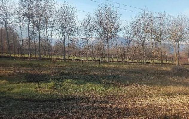 Immobile in asta di 72 m² in vendita a Sulmona - Foto 3