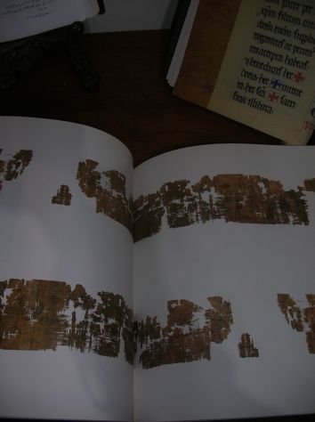 LE TRE VITE DEL PAPIRO DI ARTEMIDORO. VOCI E SGUARDI DALL’EGITTO GRECO-ROMANO - Foto 2