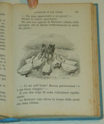 Avventure di due Canini, TOMMASO CATANI, ill. C. Chiostri, 1934. - Foto 8