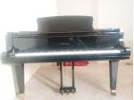 Pianoforte Sauter Krauss 185 tedesco a coda con trasporto e panca inclusi