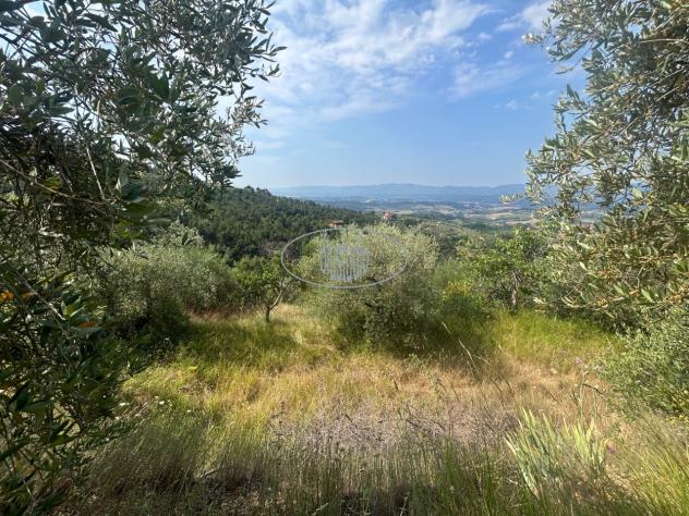 TERRENO AGRICOLO di 1 vani e di 22364 mq (CASTELFRANCO PIANDISCO' - certignano) rif. V-2360 - Foto 7