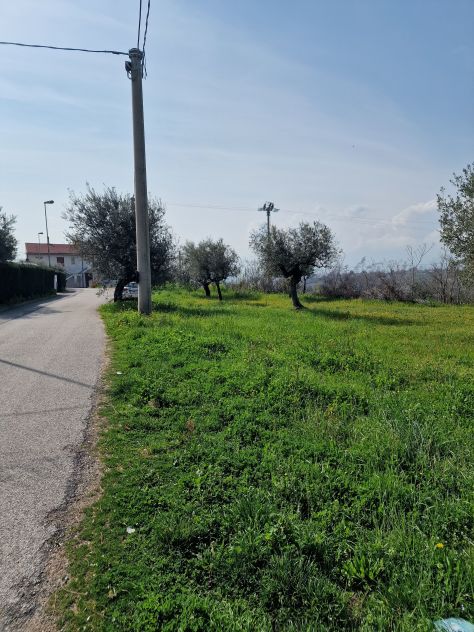 TERRENO EDIFICABILE AGRICOLO ROSCIANO - Foto 6