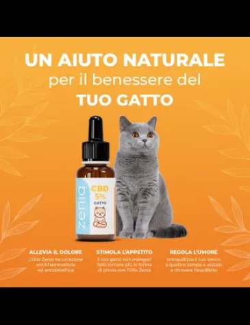 Olio CBD Gatto 5% - Foto 10