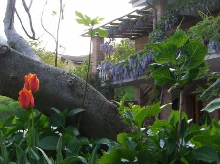 Agriturismo Doremi,B&B Farm Cuneo Piemonte Alpi Marittime - Foto 8
