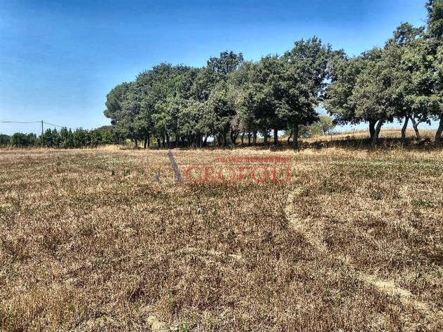Terreno Agricolo - Rif. 2415 - Foto 15