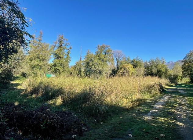 TERRENO AGRICOLO di 6980 mq (PIETRASANTA - Fiumetto) rif. 172/VE - Foto 8