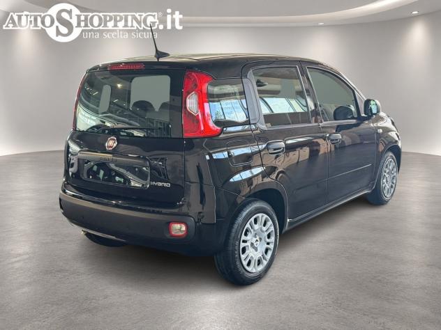 FIAT Pandina Panda III 1.0 firefly hybrid Icon s&s 65cv 5p.ti - Foto 6