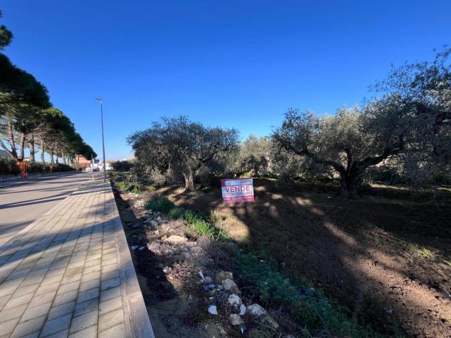 Terreno Residenziale - San Severo . Rif.: Cod. rif 3276742VRG - Foto 2