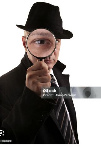 Addetto alla sicurezza ravvicinata/ aziende ecc