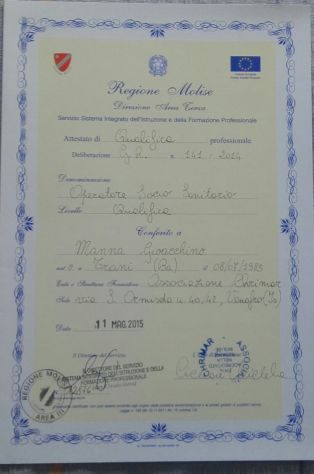 OSS (Operatore Socio Sanitario)