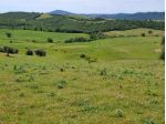 Terreno agricolo in vendita a Manciano 360000 mq  Rif: 1325811