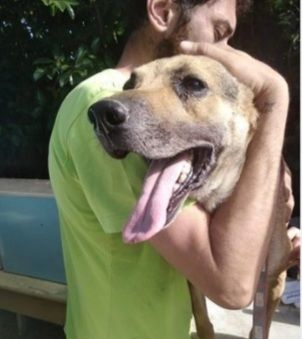 Luigino 13 anni di pena scontata! Si merita una vita libera! Salerno - Foto 3