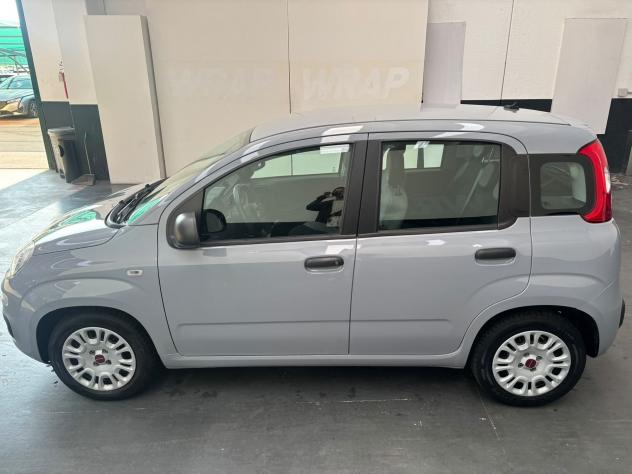 FIAT Panda Panda 1.0 firefly hybrid s&s 70cv 5p.ti - Foto 4