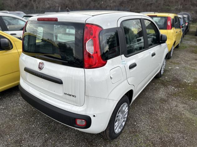 FIAT Panda 1.0 FireFly S&S Hybrid Pandina - Foto 4