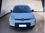 FIAT Panda III 2021 1.0 firefly hybrid s&s 70cv