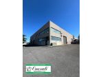 MQ 660 MONTEROTONDO, ZONA INDUSTRIALE MONTEROTONDO SCALO, Rif.A-1019