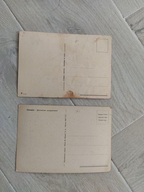 A74 - CARTOLINE - VARIE - Foto 8