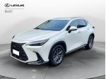 Lexus NX Plug-in Premium 4WD MY22
