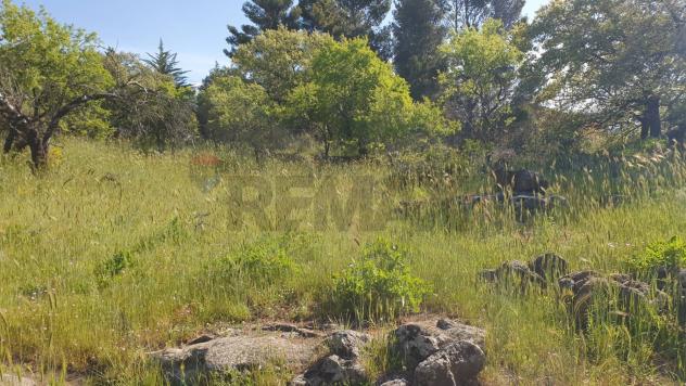 Terreno in vendita a Biancavilla