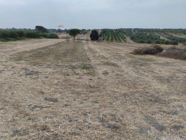 Terreno Edificabile in vendita a Noto - Foto 9
