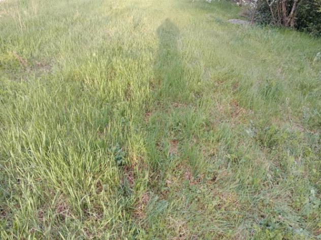 Rustico / Casale di 140 m² con 3 locali in vendita a Novi di Modena - Foto 5