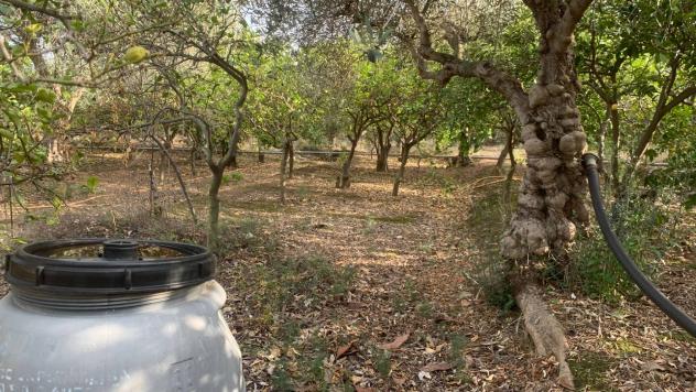 Terreno Agricolo in vendita a Santa Flavia - Foto 8