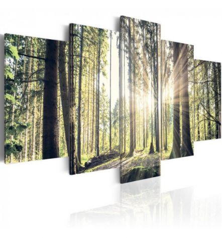 Quadro Foresta Alberata Al Mattino 100x50 E 200x100 ARREDALACASA