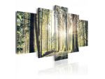 Quadro Foresta Alberata Al Mattino 100x50 E 200x100 ARREDALACASA