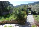 Villa in Poggio dei Pini