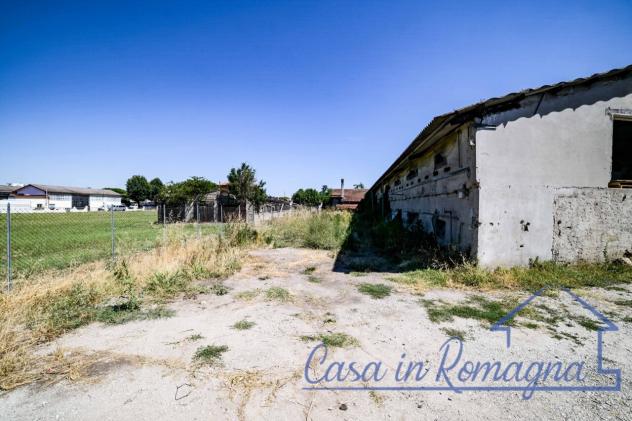 Singola in vendita a Longiano - Foto 16