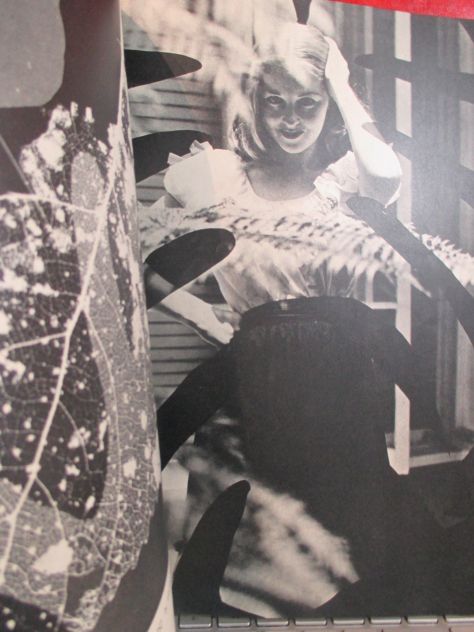 PHOTOGRAPHY annual, edizione1952 ,Lingua  Inglese. - Foto 3