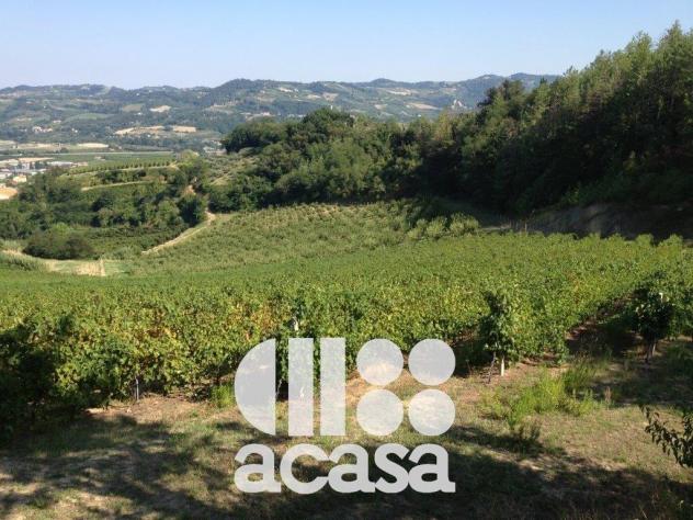 AZIENDA AGRICOLA SAN CARLO - Foto 4