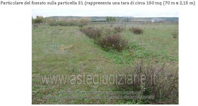 IMMOBILI-ALTRA CATEGORIA-SERDIANA - Foto 6