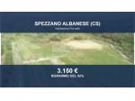 Immobile in asta di 17980 m² in vendita a Spezzano Albanese