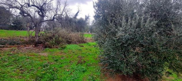 Casa singola in vendita a Santa Maria a Monte 270 mq Rif: 1230284 - Foto 5