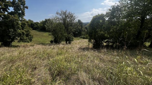 Seminativo in vendita a Altavilla Vicentina - Foto 10