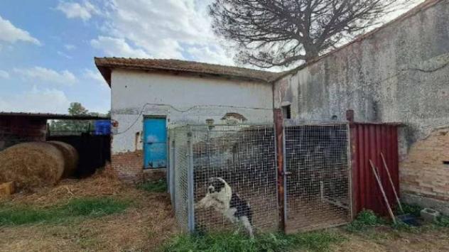 Immobile in asta di 277110 m² in vendita a Gioia Tauro - Foto 11