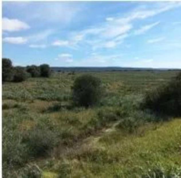 Immobile in asta di 64291 m² in vendita a Uras - Foto 2