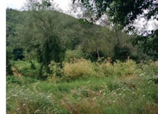 Immobile in asta di 1594609 m² in vendita a Arcidosso - Foto 10