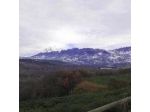 Agriturismo Piccolo Albero