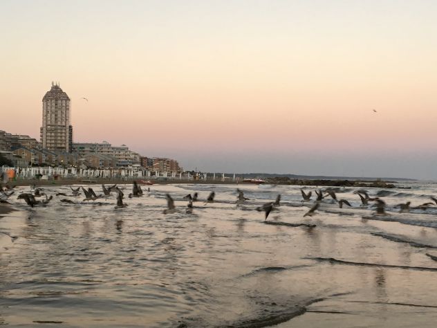 MONOLOCALE MENSILE FRONTE MARE SENZA CUCINA GIUGNO/LUGLIO - Foto 8