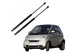 Kit 2 Molle a Gas Cofano Posteriore 444mm 95N per Smart Fortwo dal 2007