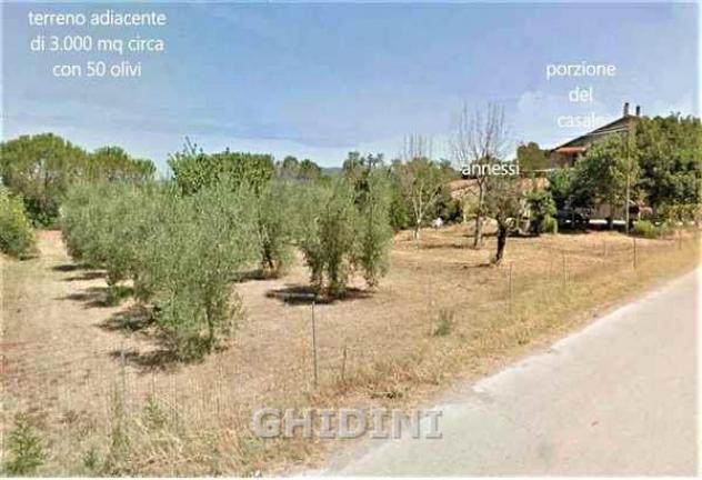 RUSTICO di 8 vani e di 200 mq (CAMPAGNATICO) rif. 2176.144M - Foto 20