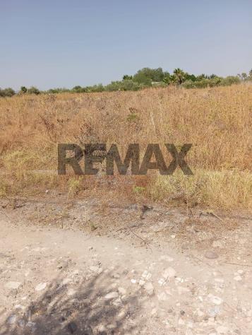Terreno in vendita a Carlentini - Foto 3